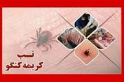 راه‌های پیشگیری از بیماری تب کریمه- کنگو(CCHF)
